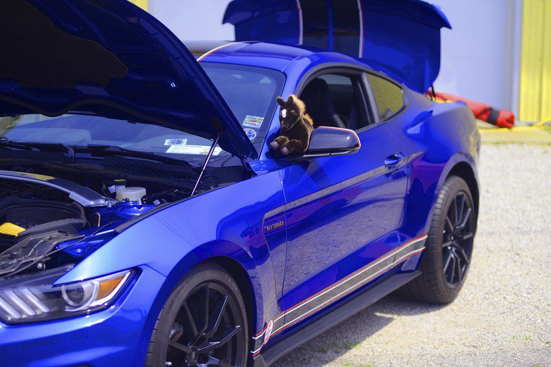 Bill Dobson All Ford Car Show Community