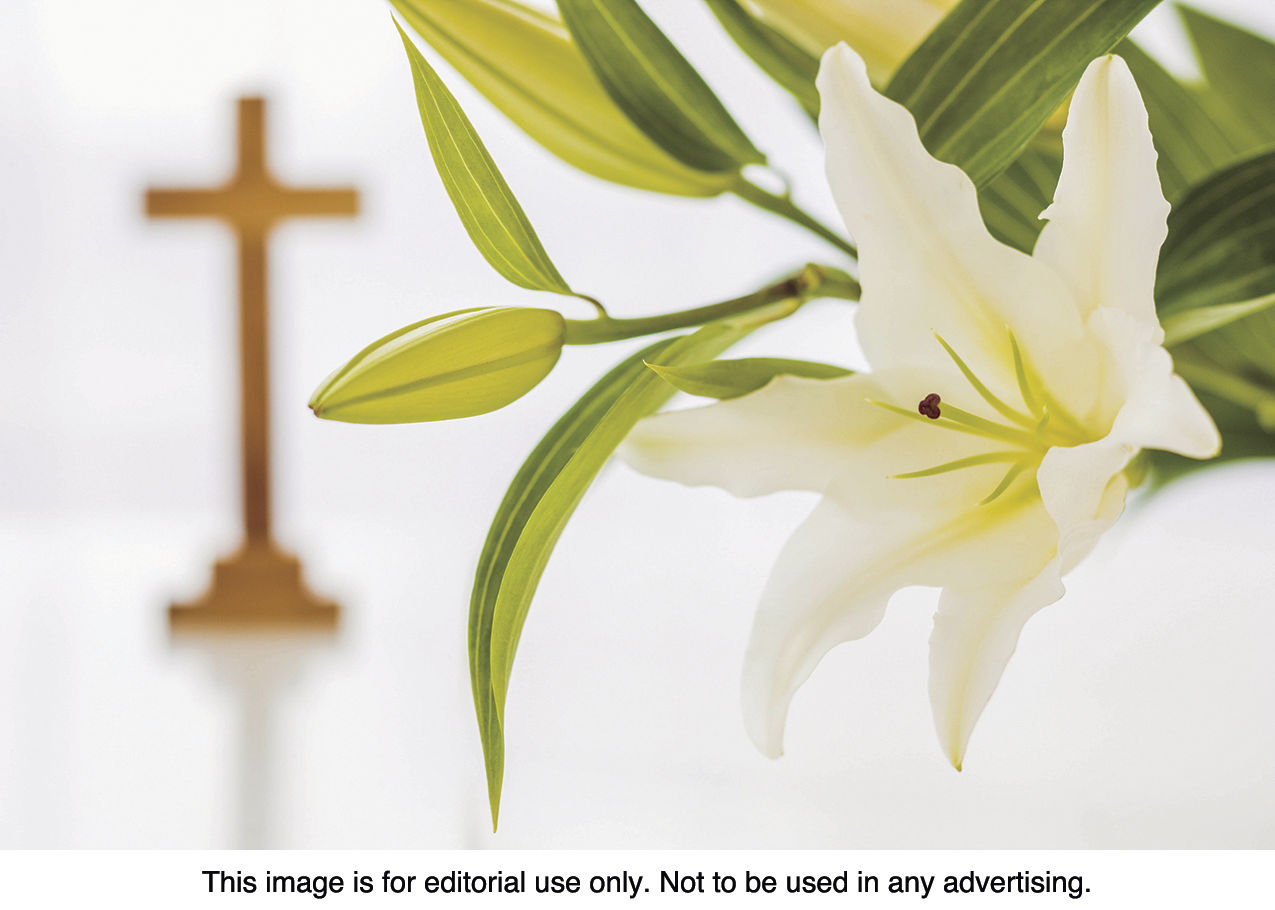 Meanings behind the Easter lily | Community | washtimesherald.com