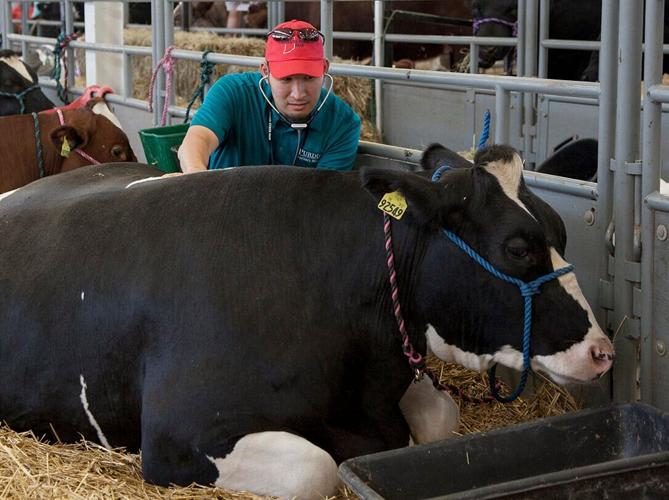Farm animal vets shortage leaves Indiana producers in a lurch State