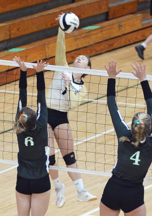 Ir Volleyball 2 Washtimesherald Com