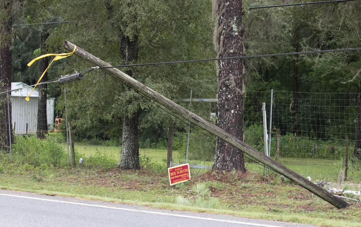 Photos Hermine Knocks Down Trees Power Lines In Florida Georgia Don T Miss This