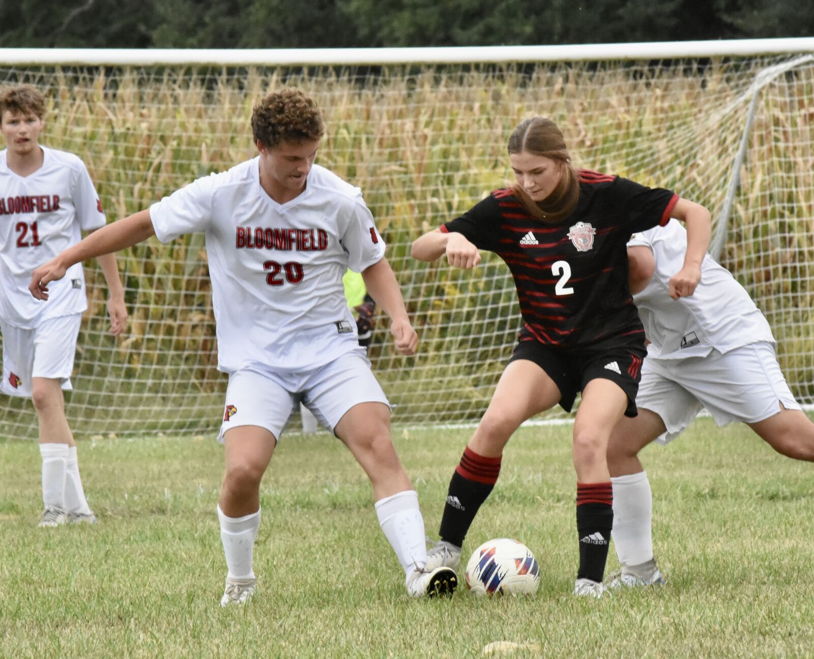 Barr-Reeve Vikings Triumph Over Bloomfield in Class A Soccer Match
