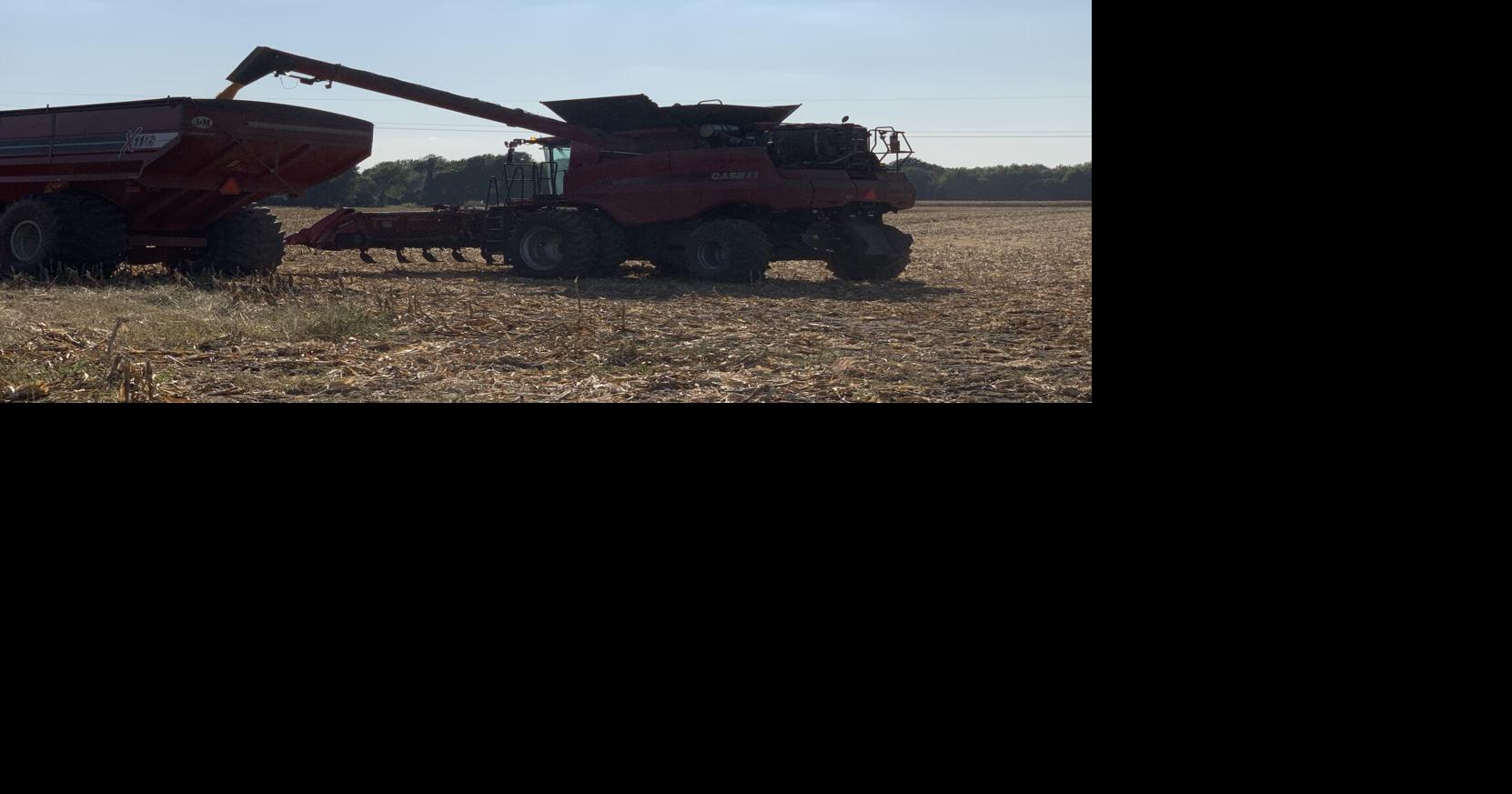 Grain dust creates multiple issues