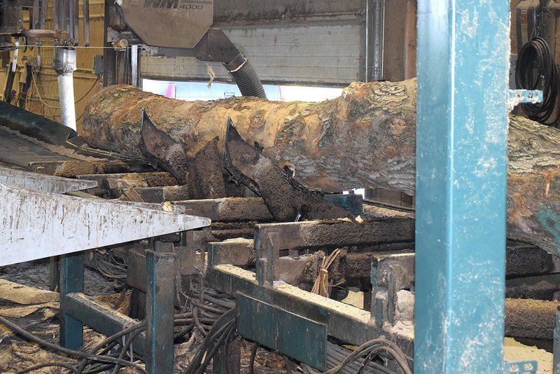 Timber Hardwood Is Big Business In Southern Indiana Local News
