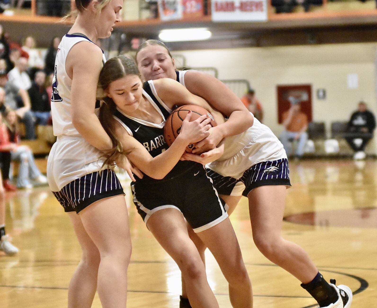 Lady Vikes season ends at Crawford County | Local Sports