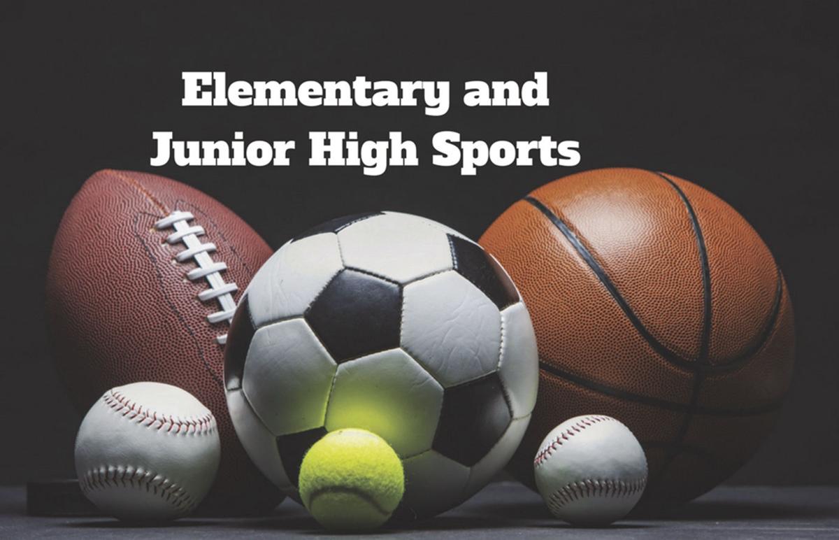 Sports Briefs | Sports | washtimesherald.com