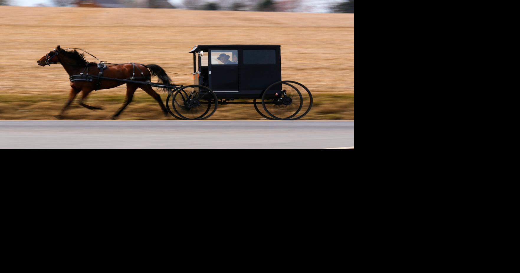 Amish Jewish Scholar | National News | washtimesherald.com