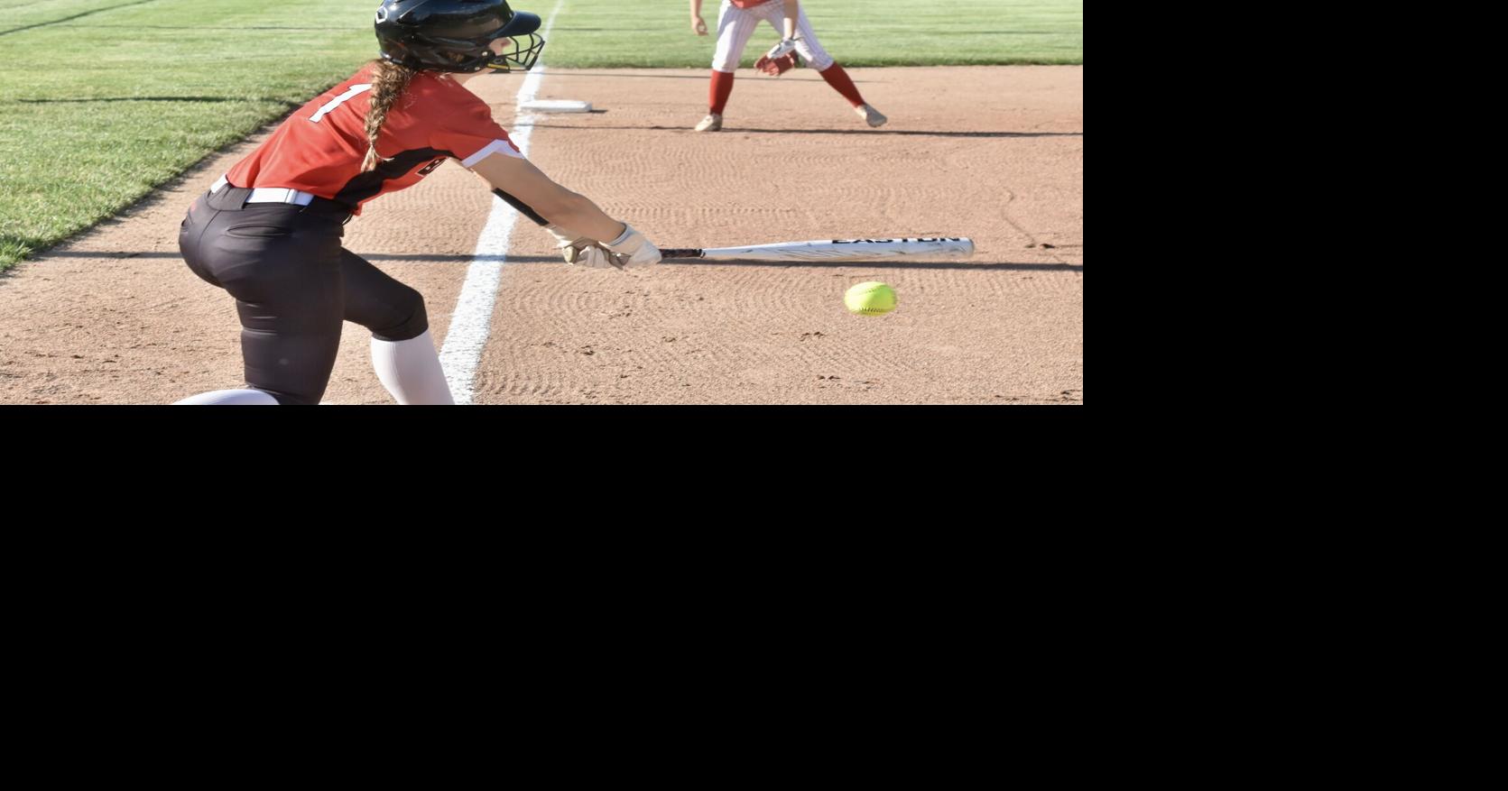 Barr-Reeve falls to Tecumseh 7-5 | Sports | washtimesherald.com