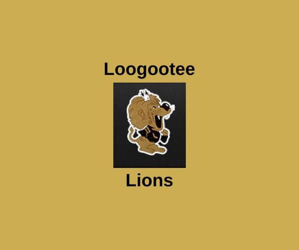 WTH Graphics Loogootee Lions