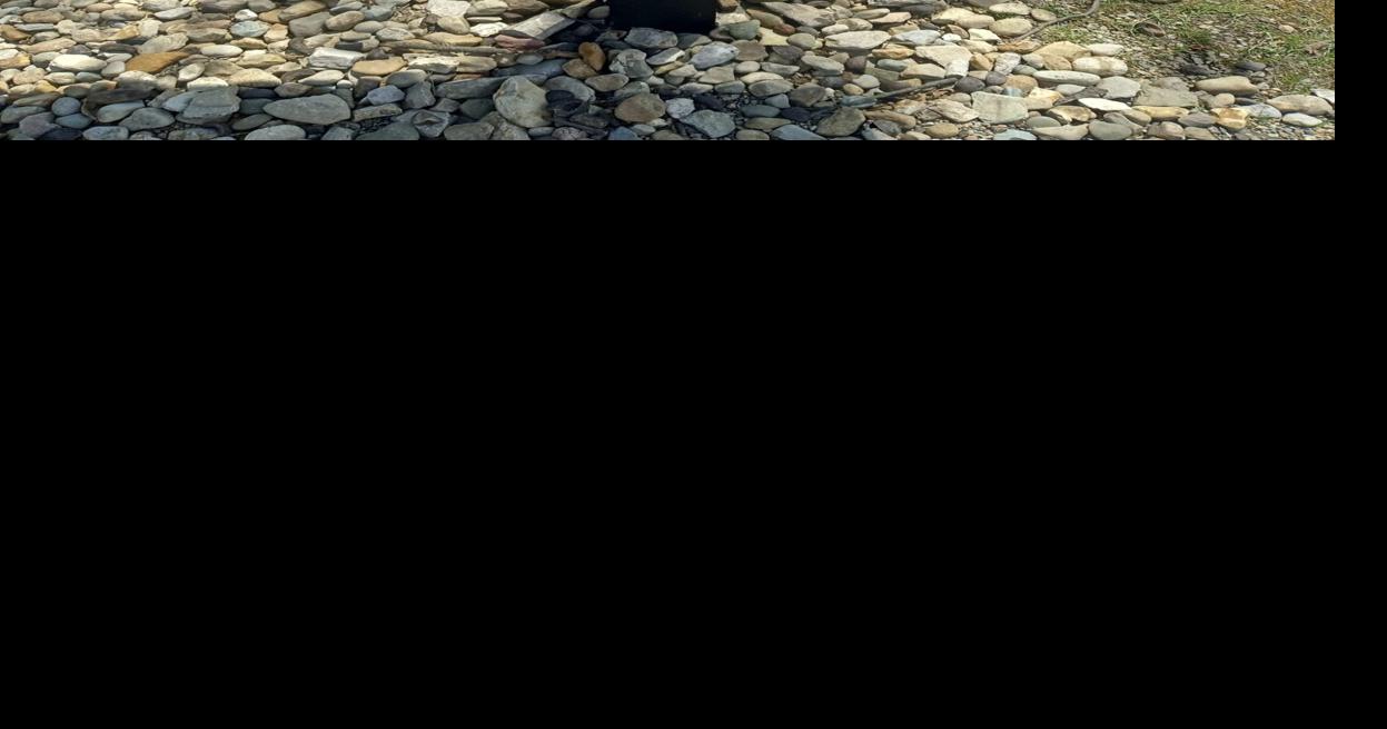 Everly's Story Trail to open in Odon News