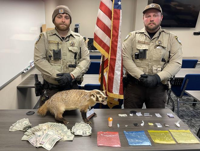 Deep Gap woman facing multiple drug charges in Ashe County | Local News ...