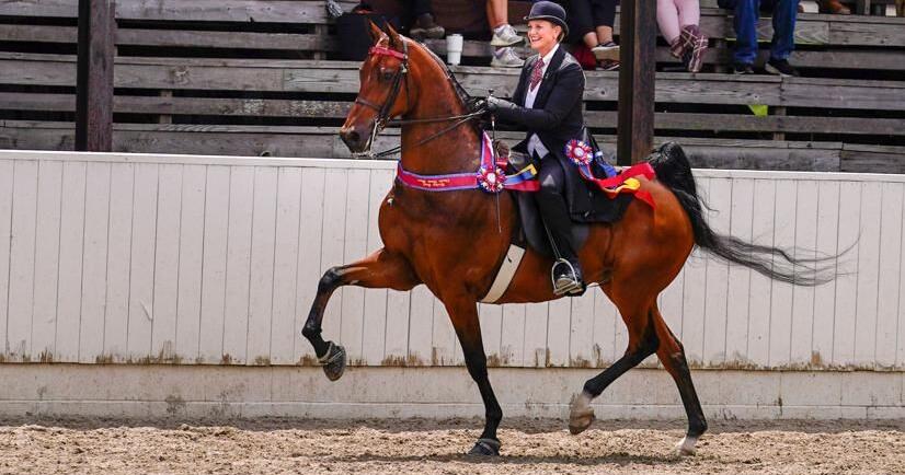 Blowing Rock Charity Horse Show begins 2024 season June 6 - Vimarsana News