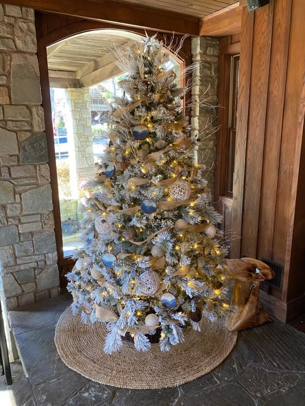 Christmas Trees 2022 Watauga Democrat Festival Of Trees Event Returns To Raise Money For Western Youth Network |  Local News | Wataugademocrat.com