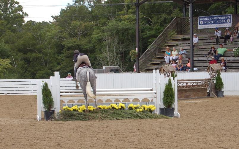 Scenes from the Blowing Rock Charity Horse Show Blowing Rocket