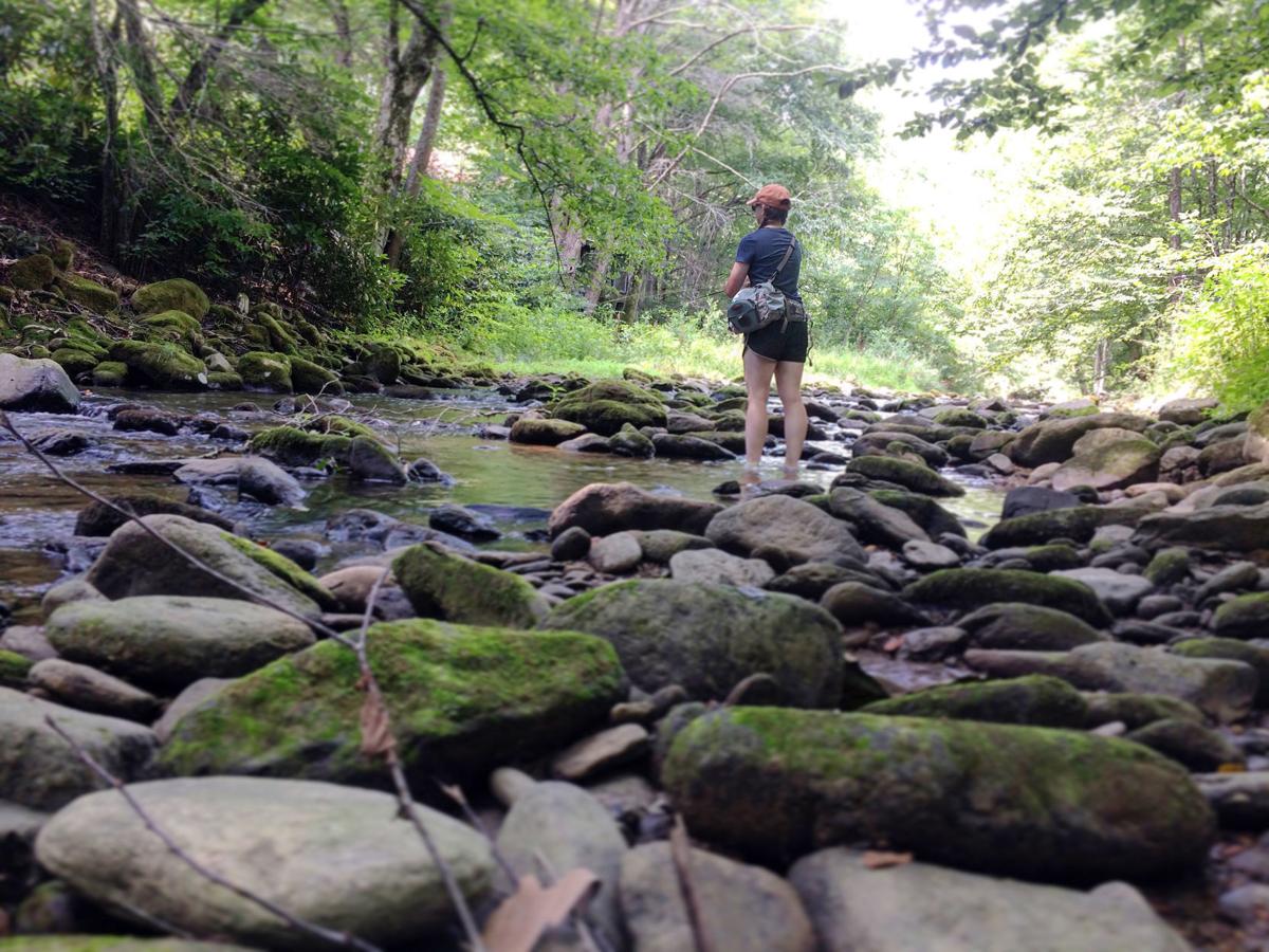 More Women Try Fly Fishing To Relax Wataugademocrat Com