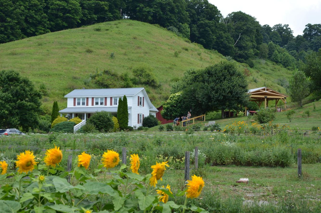 Springhouse Farm offering 'pick your own bouquet' for community members ...