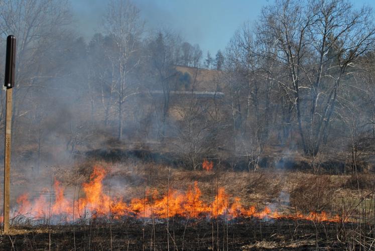 Fighting fire with fire Blue Ridge RC&D hosts prescribed burn