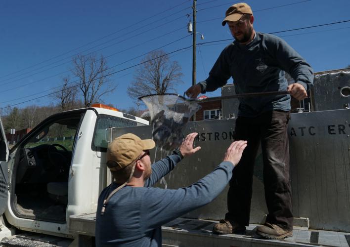 A ride in the trout truck Restocking Ashe County creeks News