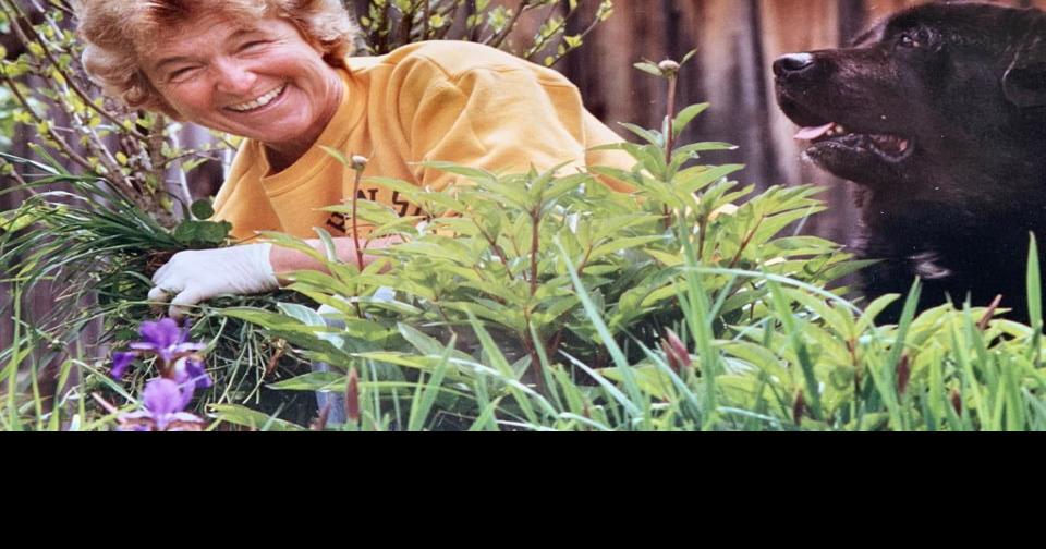 Georgia Ward Gillis |  Obits