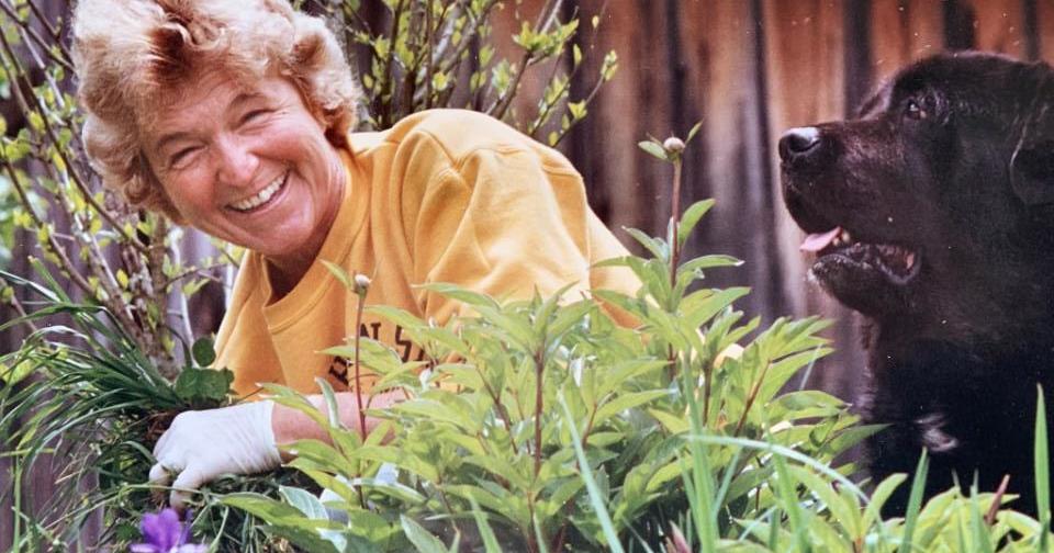 Georgia Ward Gillis | Obits Georgia Ward Gillis | Obits