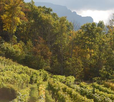 Avery Chamber Uncorks Wine Beer Events Entertainment