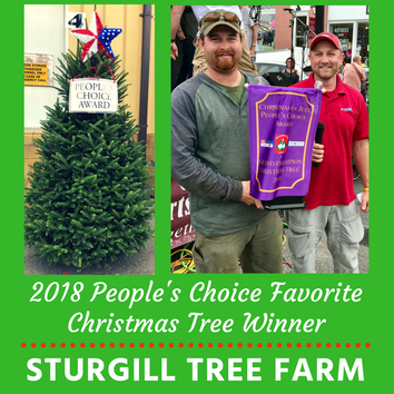 Festivalgoers To Choose Finest Ashe County Christmas Tree During Festival Wataugademocrat Com