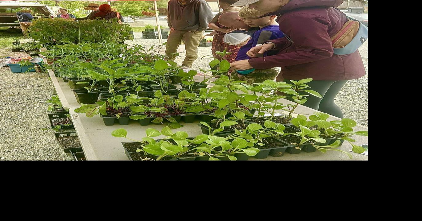 Read moreFull Moon Farm Collective and Daybreak Homestead hosting Mother's Day plant sale