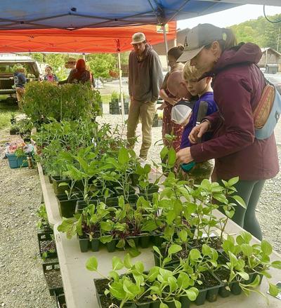 Full Moon Farm Collective and Daybreak Homestead hosting Mother's Day ...