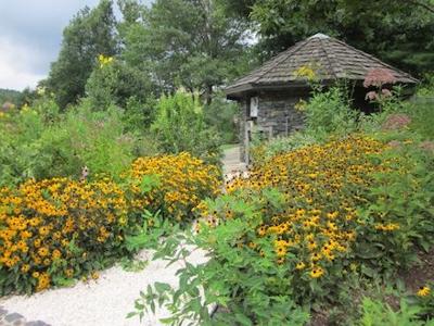 Native Gardens sow seeds of change | Community | wataugademocrat.com