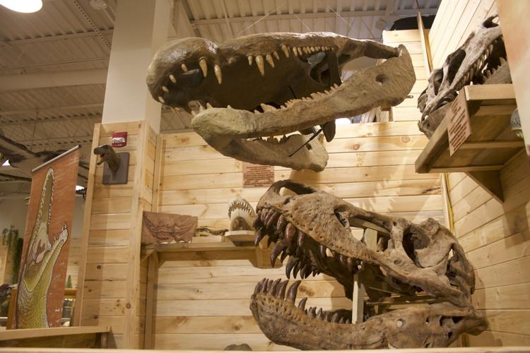 Doc's Rocks Gem Mine and Appalachian Fossil Museum cuts ribbon at new