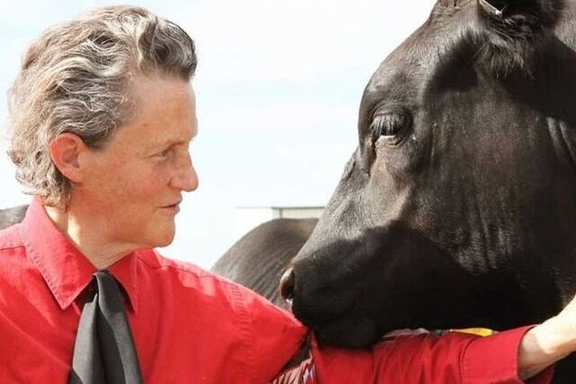 Watauga Farm Bureau To Host Dr Temple Grandin At App Theatre On July   667c543870b74.image 