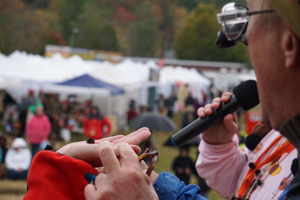 Wild Worm Will Takes Top Honors At 42nd Annual Woolly Worm