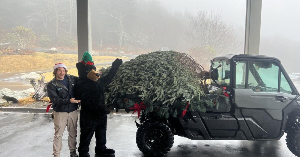 Tree arrival and celebration to kick off holiday season at Grandfather ...