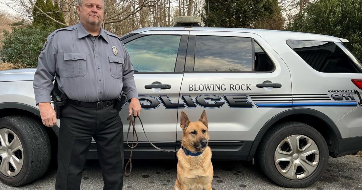 Blowing Rock Police Department welcomes first K-9 officer | Local News ...