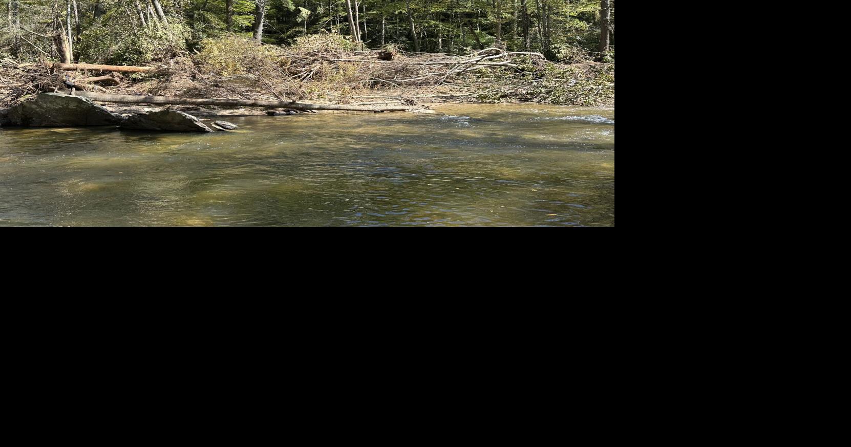 Stream assessment day a vital step toward recovery in Watauga County's ...