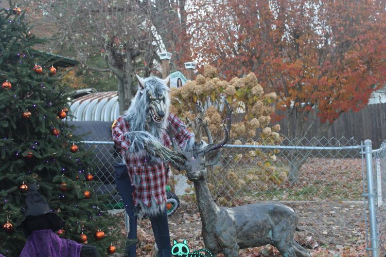 Trick or Treating in Elk Park Mountain Times