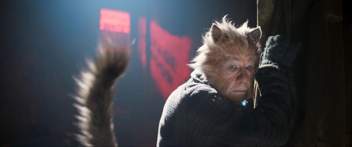 Cats Offers Memories And Dreams Movietimes Wataugademocrat Com