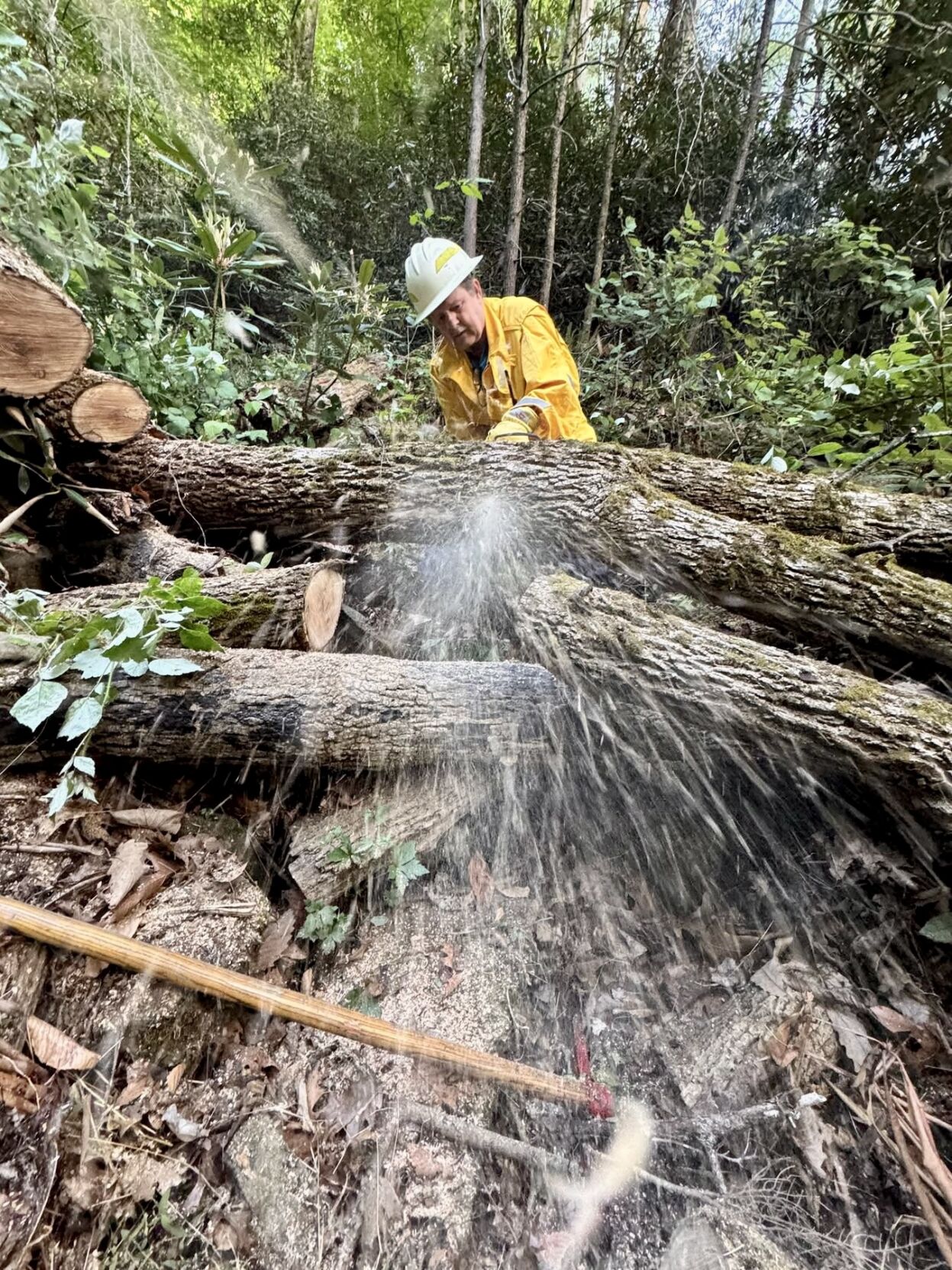 Crews contain brush fire started by downed power line | Local News ...