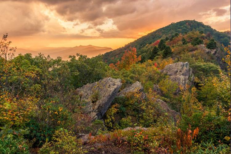 Phoenix Mountain summit protected: Nature Conservancy adds 549 acres to