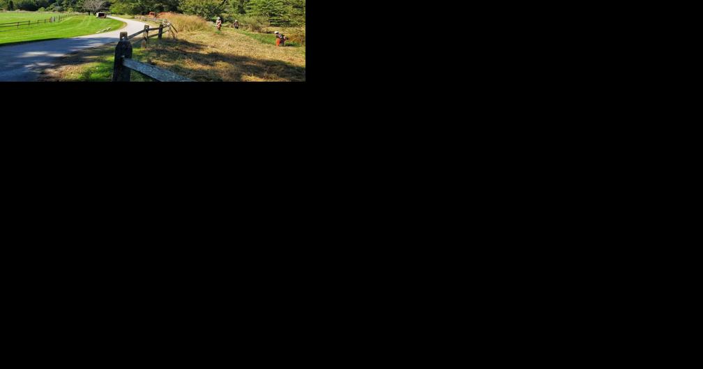 Boone, App State partnering to remove invasive species on Greenway - Vimarsana News