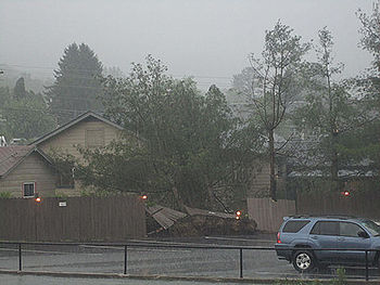 Possible Tornado Hits Banner Elk No Injuries News