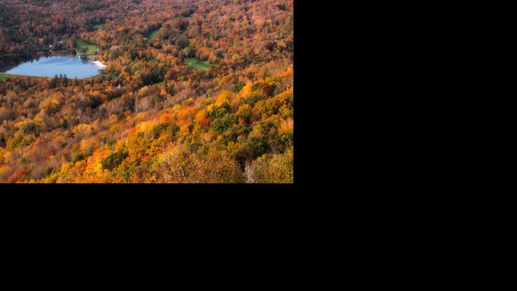 Peak leaf season