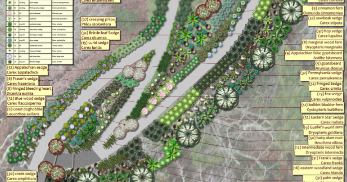 Read moreDaniel Boone Native Gardens seeking volunteers to help install over 1K native plants