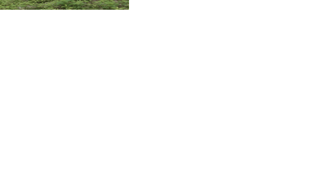 30 acres near Deep Gap conveyed to the NPS along Mountains-to-Sea Trail - Vimarsana News
