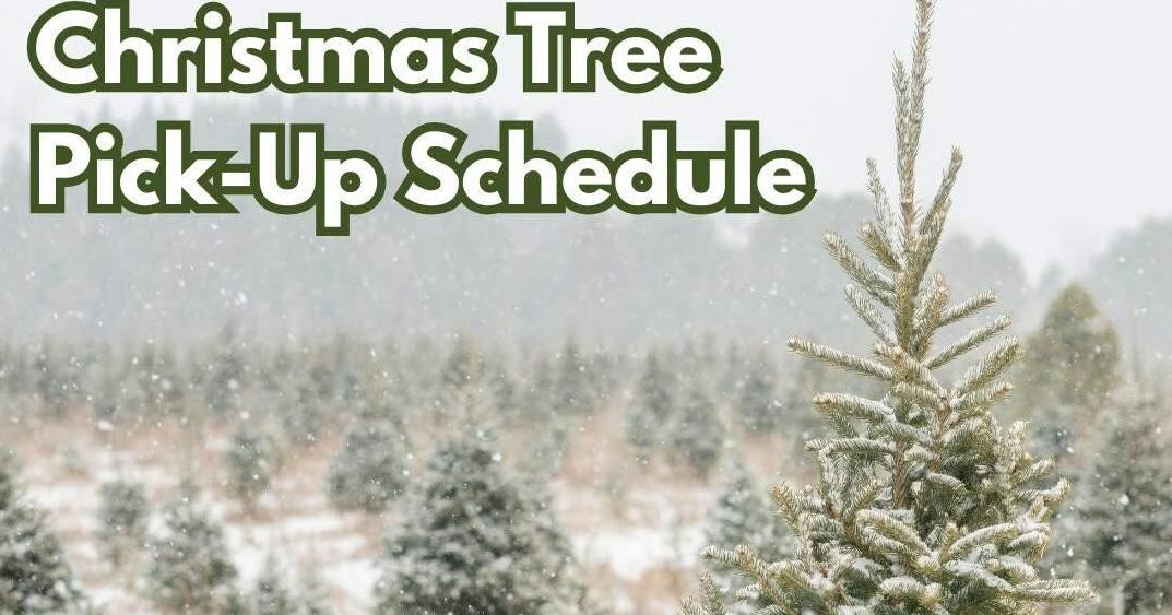 Boone offering complimentary Christmas tree pick up | Local News ...