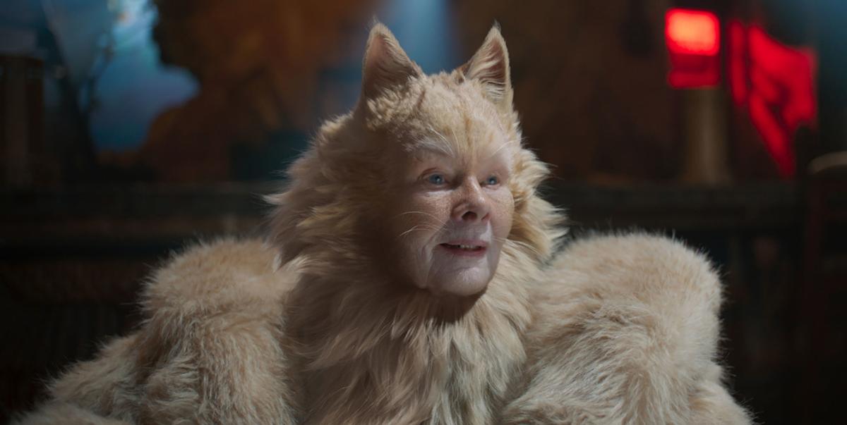 Cats Offers Memories And Dreams Movietimes Wataugademocrat Com