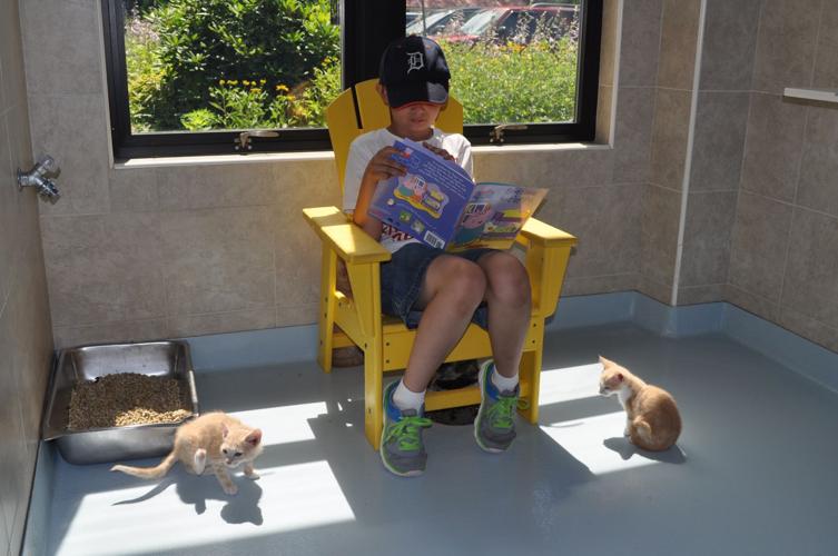 Watauga Humane Society finds success in 'Reading for Paws' program