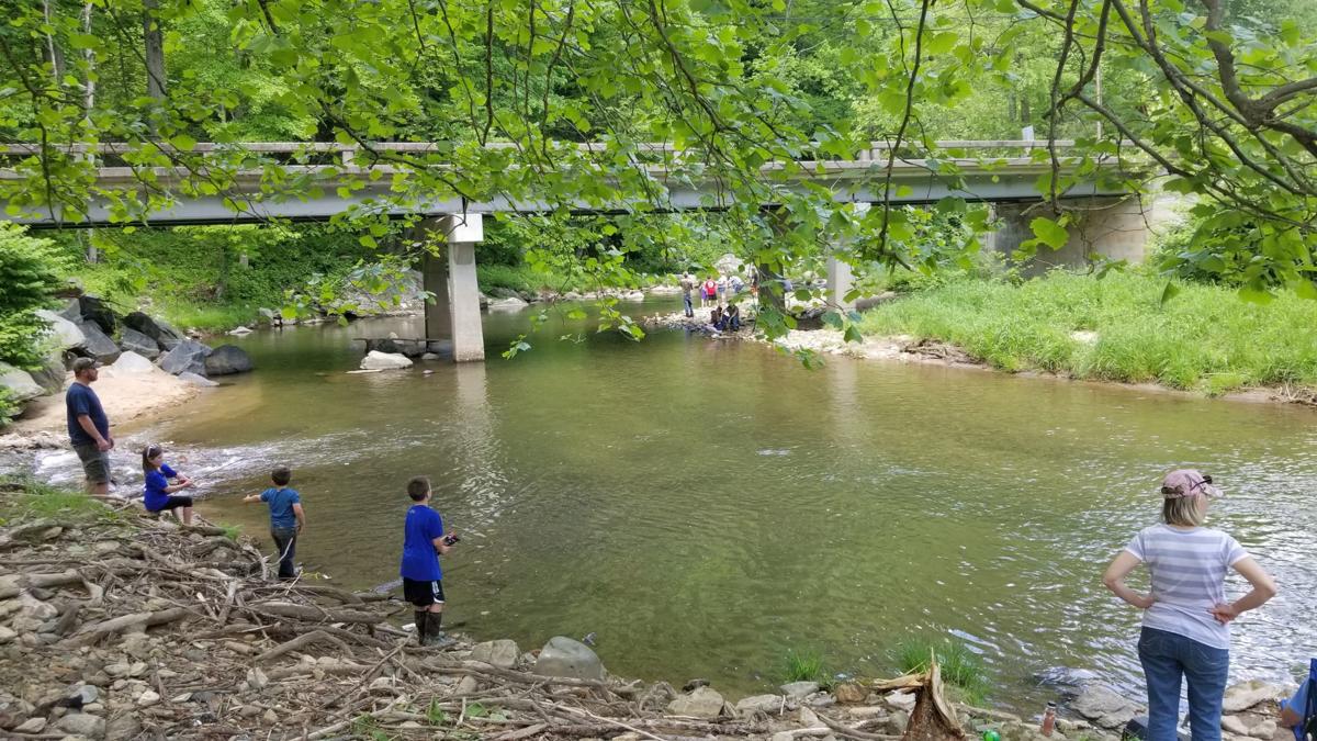 Casting Off Fishing In The High Country Wataugademocrat Com