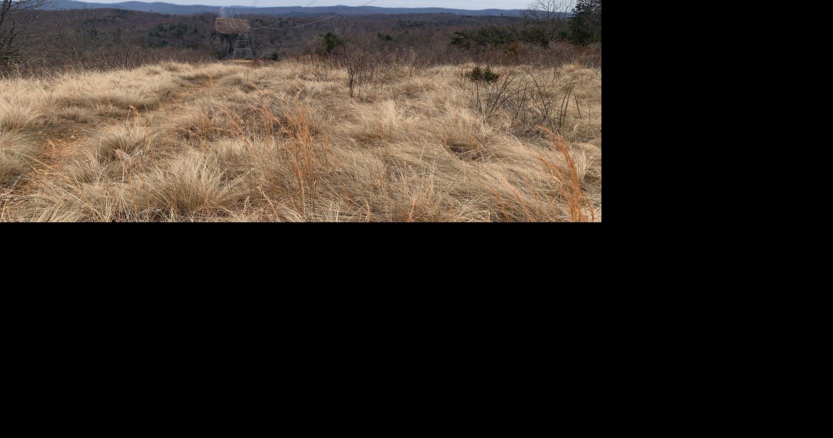 Blue Ridge Conservancy acquires forested land in Brushy Mountains ...