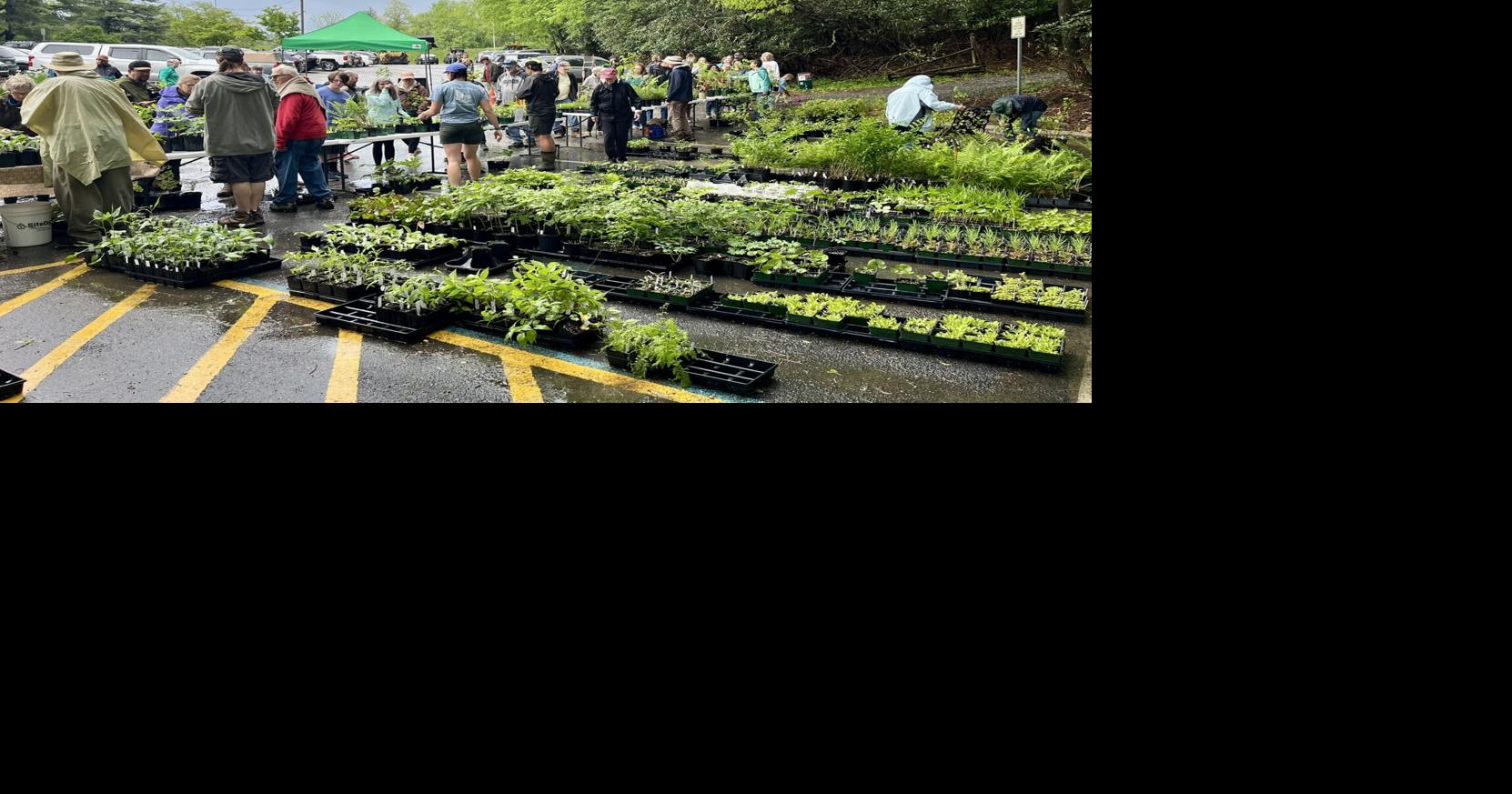 Read moreDaniel Boone Native Gardens hosting native plant sale fundraiser